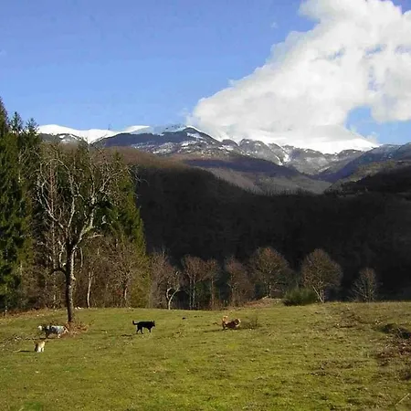 Podere L'ivogne *